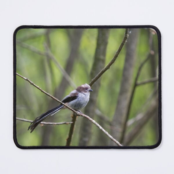 Item preview, A Long Tailed Tit perches on a branch designed and sold by RumRagephotos.