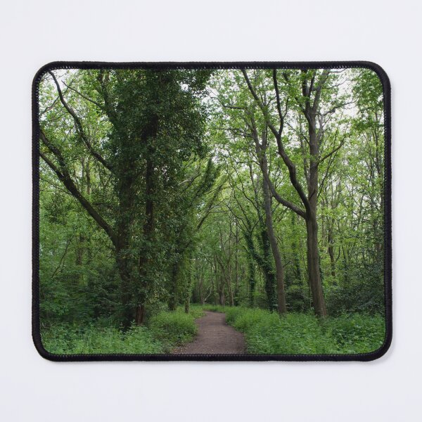 Item preview, A leafy pathway through Wimbledon Common designed and sold by RumRagephotos.