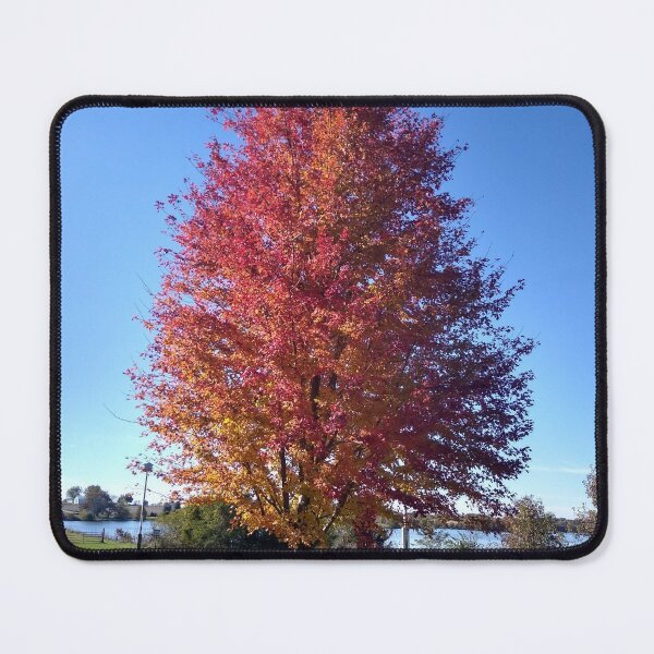 Item preview, Autumn Maple designed and sold by ElphCreations.