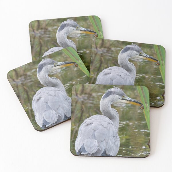 Item preview, Grey Heron with a newt in its beak designed and sold by RumRagephotos.