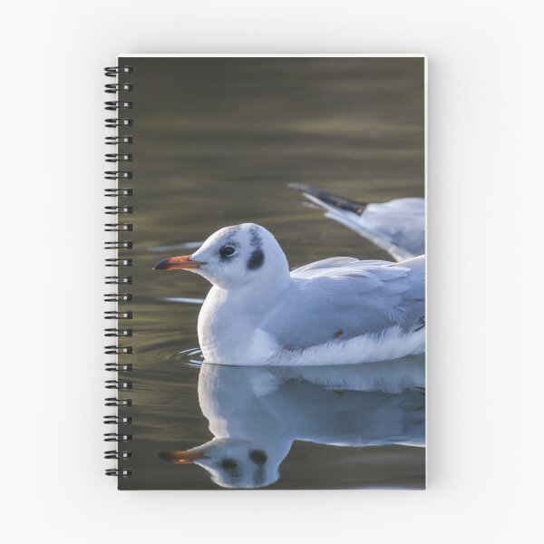 Item preview, Slender-billed gull  designed and sold by Olimpia Negura.