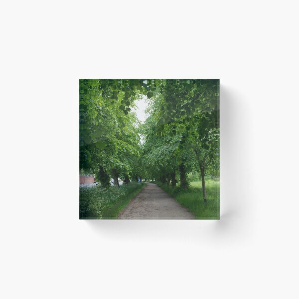 Artikelvorschau, A tree lined pathway on Wimbledon Common entworfen und verkauft von RumRagephotos.