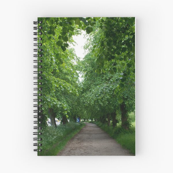 Item preview, A tree lined pathway on Wimbledon Common designed and sold by RumRagephotos.