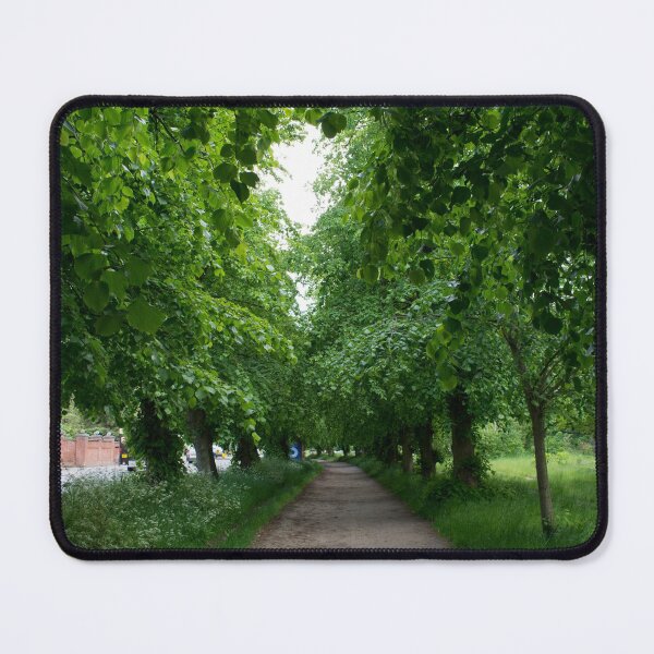 Item preview, A tree lined pathway on Wimbledon Common designed and sold by RumRagephotos.
