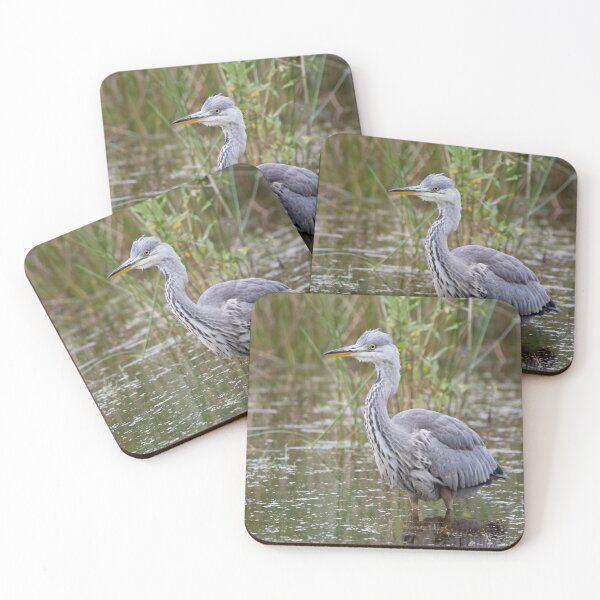 Item preview, A Grey Heron stands in a pond designed and sold by RumRagephotos.