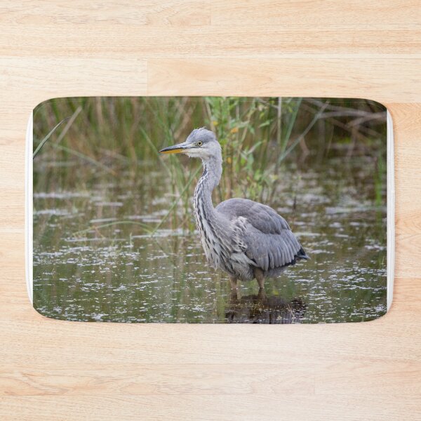 Item preview, A Grey Heron stands in a pond designed and sold by RumRagephotos.