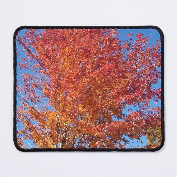 Item preview, Fiery Color designed and sold by ElphCreations.