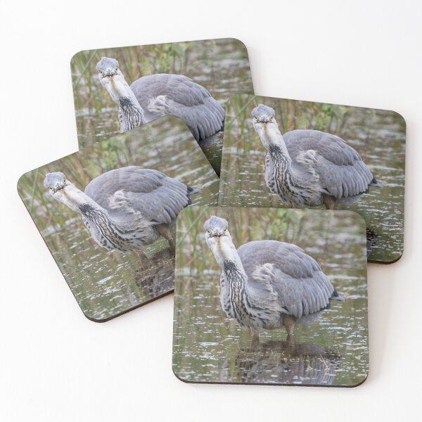 Item preview, Grey Heron stands in a pond designed and sold by RumRagephotos.