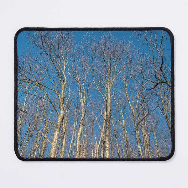 Item preview, Tall Trees designed and sold by SMartin.