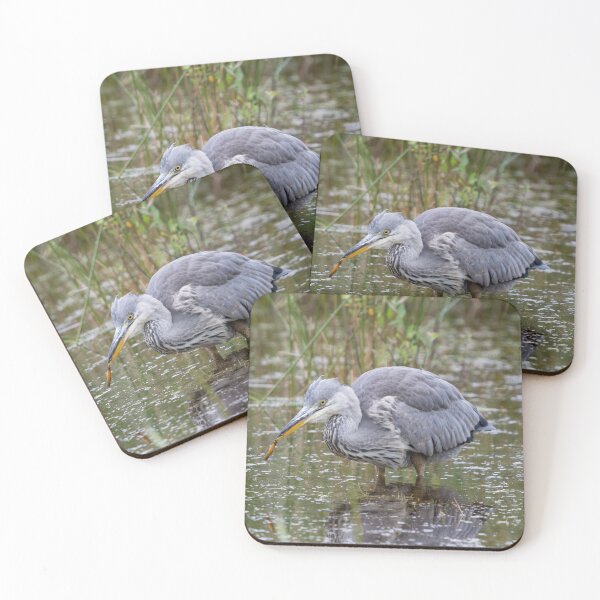 Item preview, Grey Heron catches a newt designed and sold by RumRagephotos.