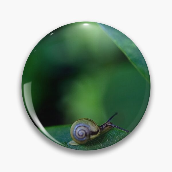 Item preview, Snail on a green leaf designed and sold by HenrikGPhoto.