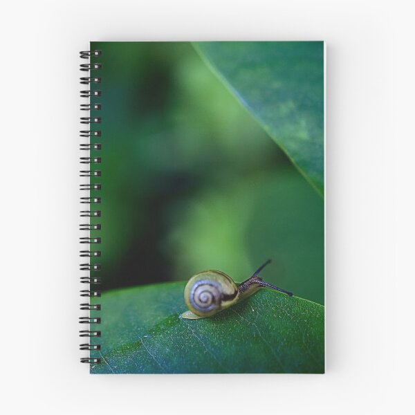Item preview, Snail on a green leaf designed and sold by HenrikGPhoto.