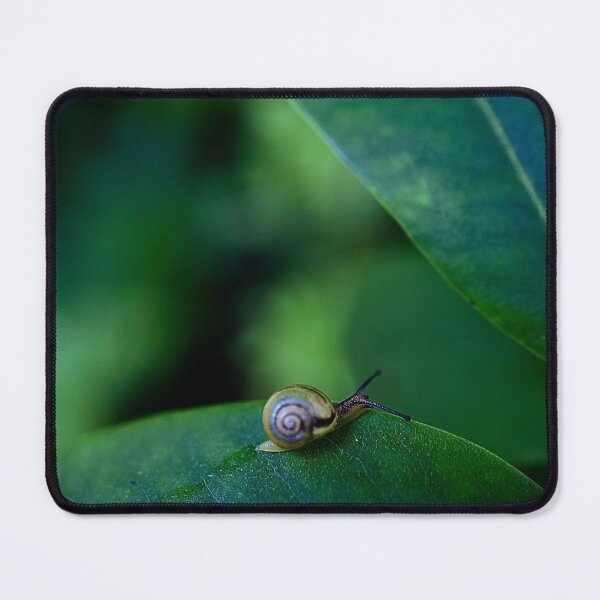 Item preview, Snail on a green leaf designed and sold by HenrikGPhoto.