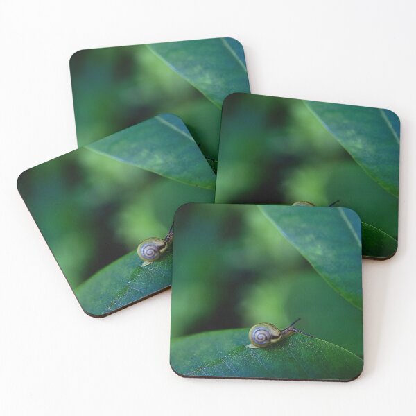 Item preview, Snail on a green leaf designed and sold by HenrikGPhoto.