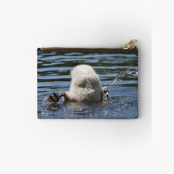 Item preview, Cygnet splashes as it dives for food in a pond designed and sold by RumRagephotos.