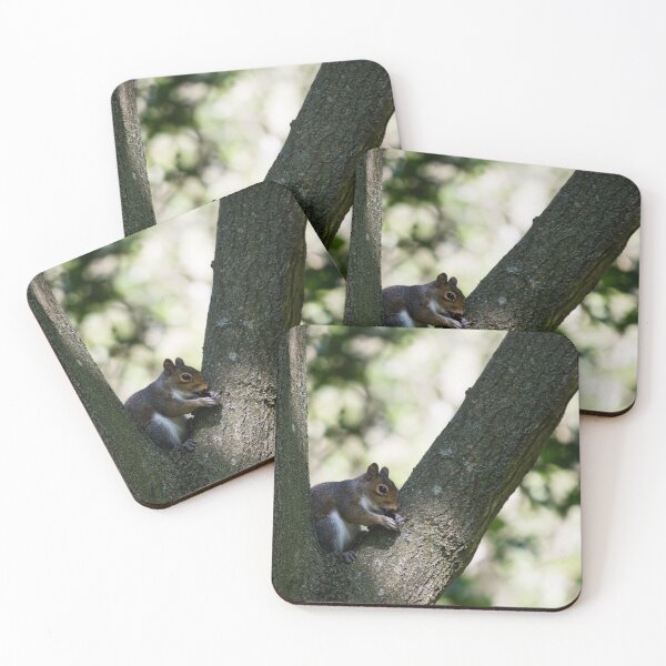 Item preview, Grey squirrel sits in a tree and snacks on a berry designed and sold by RumRagephotos.