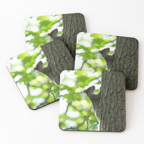Item preview, Grey Squirrel climbs a tree designed and sold by RumRagephotos.