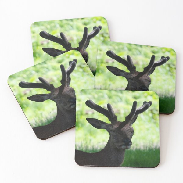Item preview, A young deer lays in the shade  designed and sold by RumRagephotos.