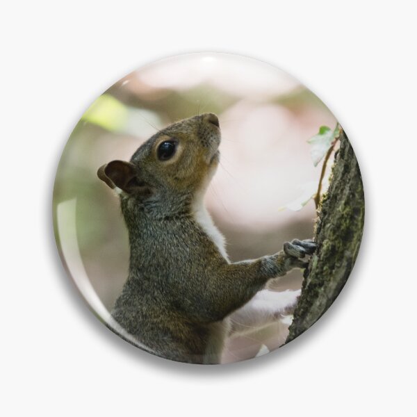 Artikelvorschau, A grey squirrel sits at the base of a tree entworfen und verkauft von RumRagephotos.