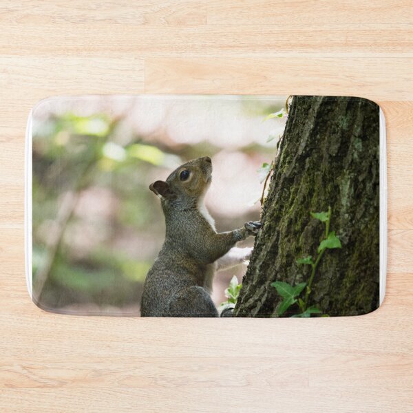 Item preview, A grey squirrel sits at the base of a tree designed and sold by RumRagephotos.
