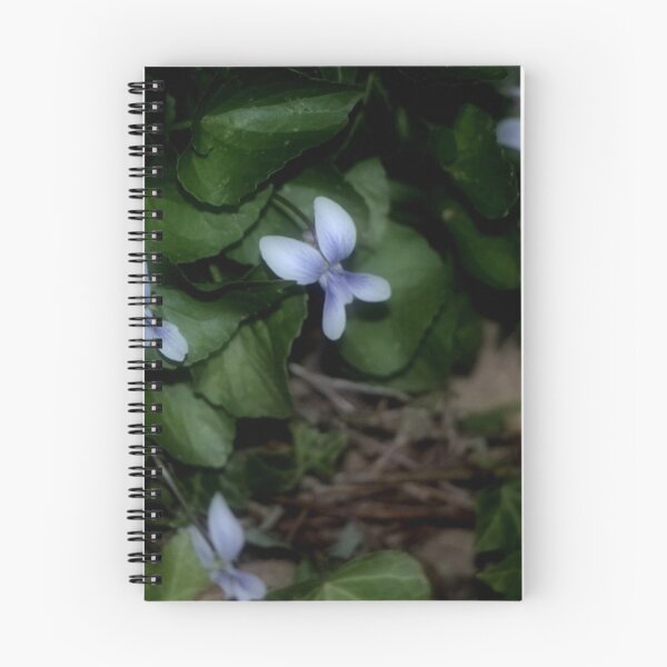 Item preview, Shy Wild White Violets in the Evening designed and sold by JariHawk.