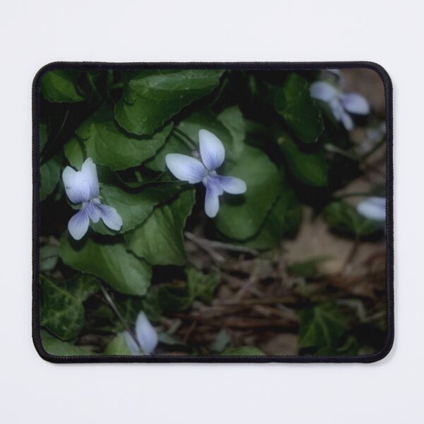 Item preview, Shy Wild White Violets in the Evening designed and sold by JariHawk.