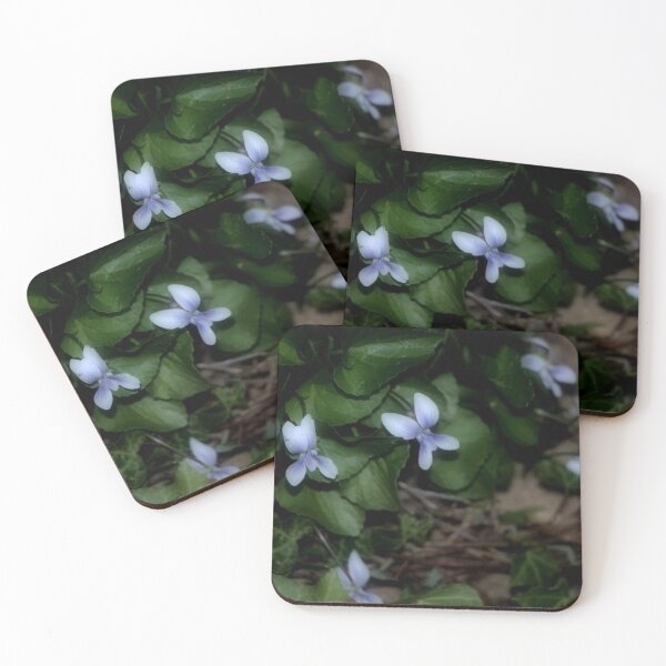 Item preview, Shy Wild White Violets in the Evening designed and sold by JariHawk.