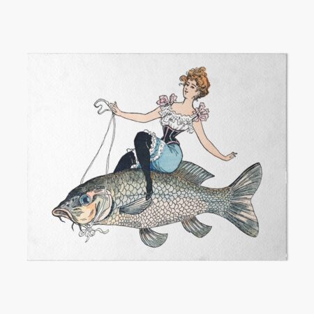 Vintage Fish Images Art Board Prints for Sale