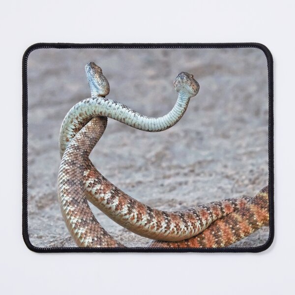 Item preview, Dancing Rattlesnakes. 2 designed and sold by Alex Preiss.