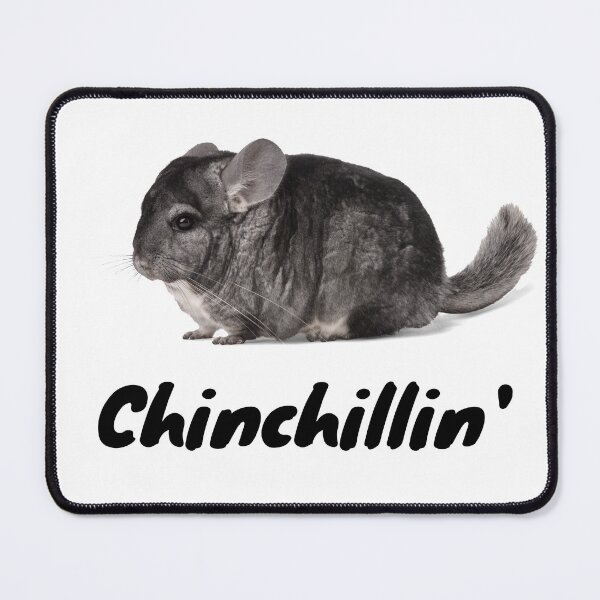 Item preview, Chinchillin' designed and sold by Sus-Snail-Co.