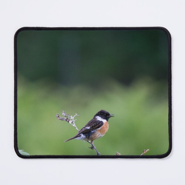 Item preview, A European Stonechat perches on a branch designed and sold by RumRagephotos.