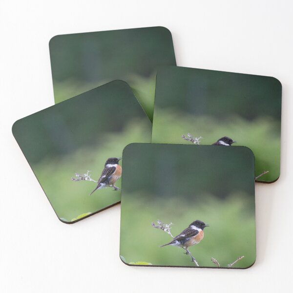 Item preview, A European Stonechat perches on a branch designed and sold by RumRagephotos.