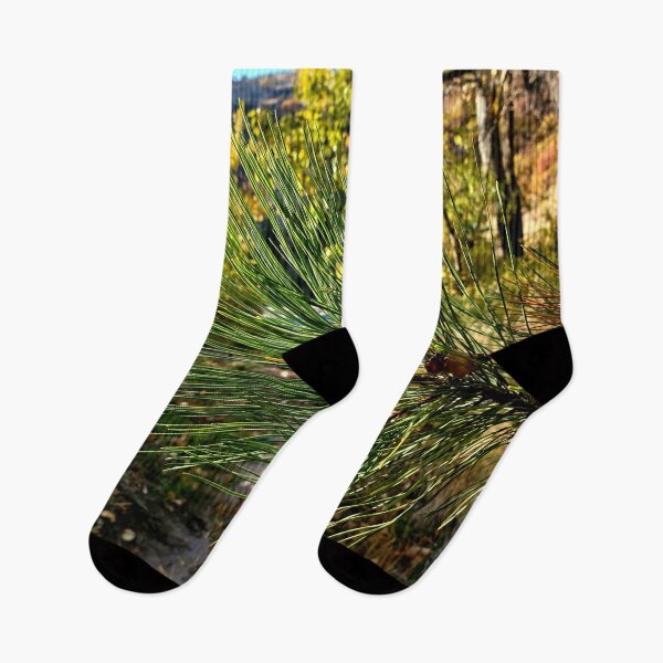 Item preview, Through the Pines designed and sold by Djjin66.