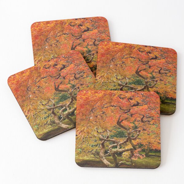 Item preview, Beautiful Maple Tree at Seattle Japanese Garden designed and sold by Lien  Titus.