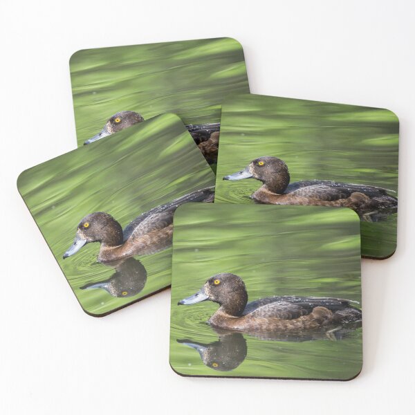 Item preview, A female tufted duck on a pond designed and sold by RumRagephotos.