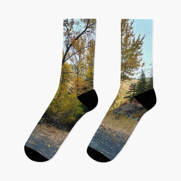 Item preview, Single Pine designed and sold by Djjin66.