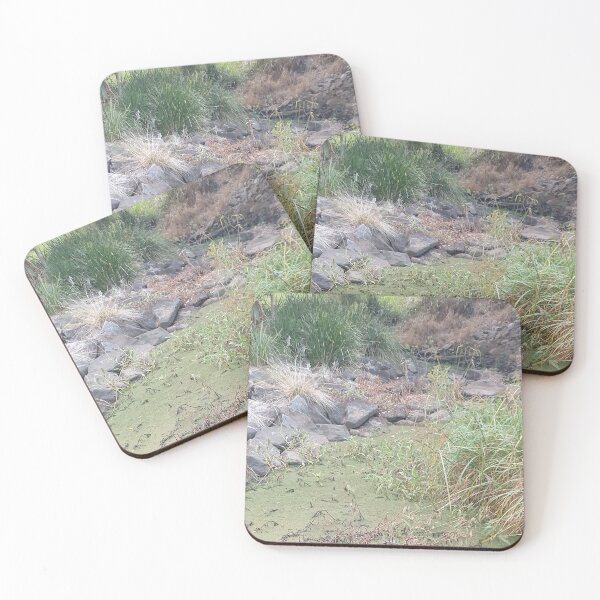 Item preview, Wild Bush Water Stream with Rocks designed and sold by Bennymp.