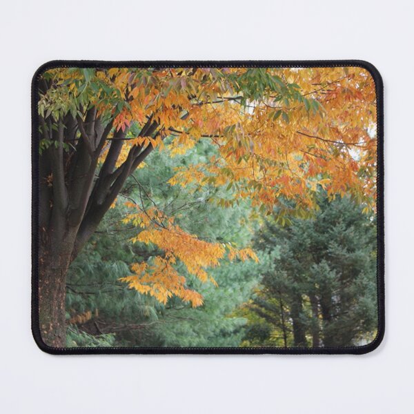 Item preview, Autumn Scene Yellow Leaves Evergreen in Background designed and sold by JariHawk.