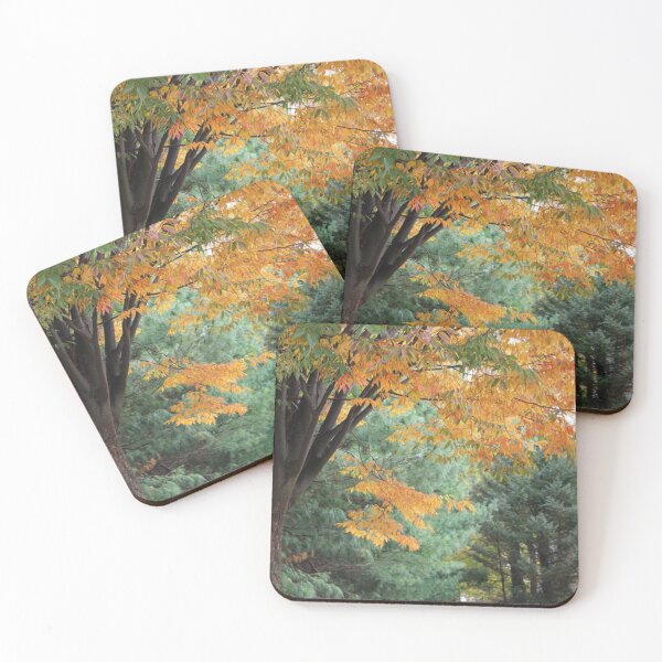 Item preview, Autumn Scene Yellow Leaves Evergreen in Background designed and sold by JariHawk.
