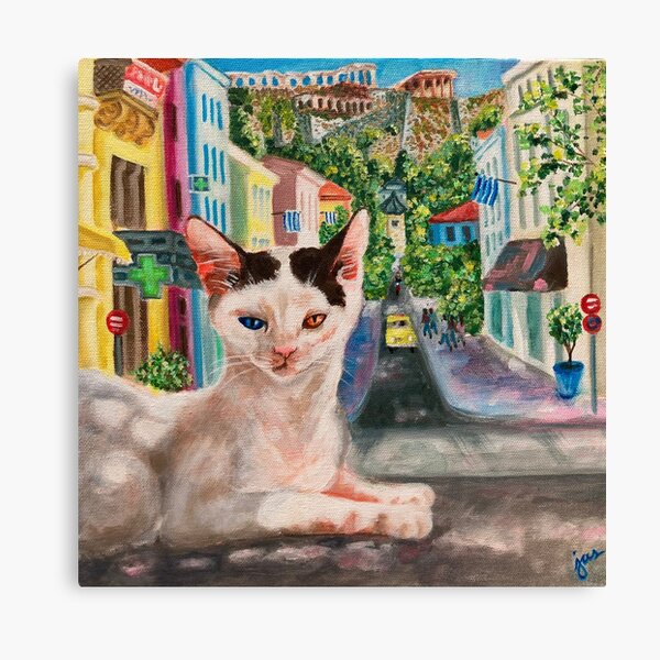 City Kitty-ATHENS Canvas Print