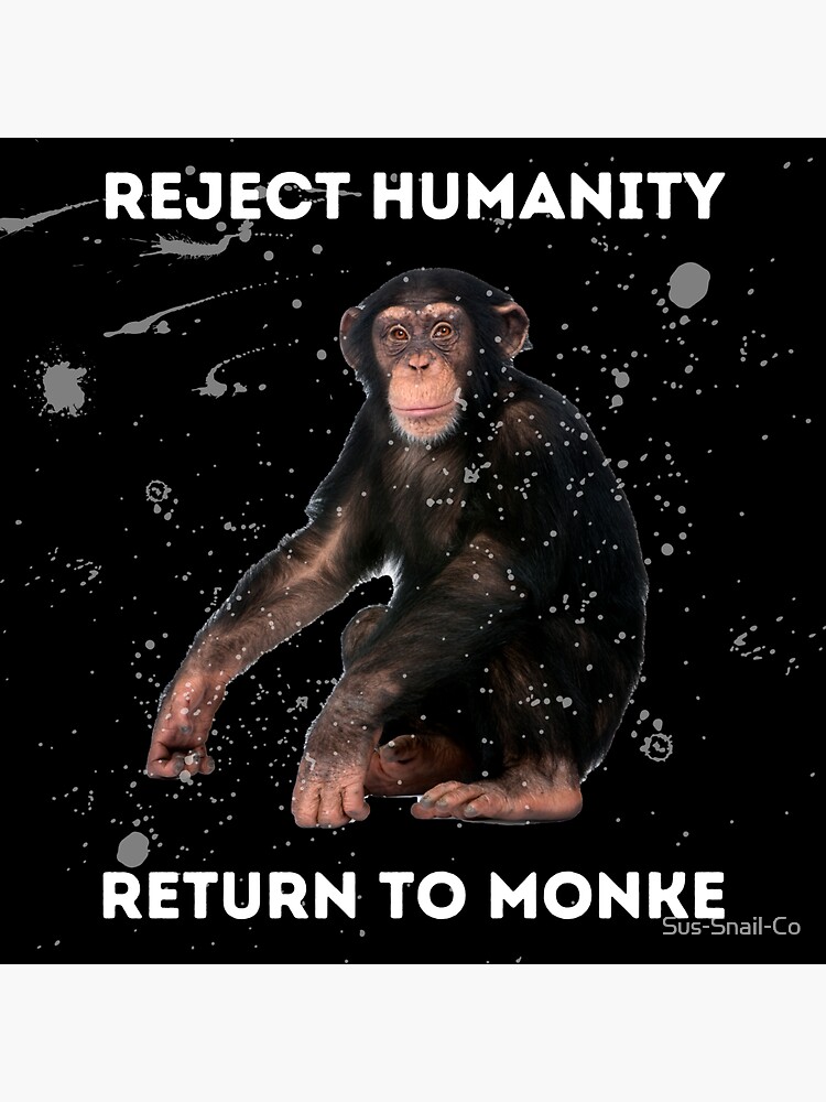 Sus Monkey Meme