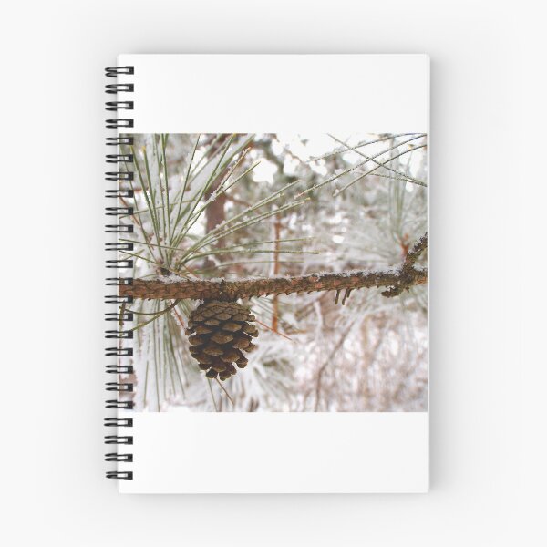 Item preview, Winter Pine Cone designed and sold by Debbie Center.