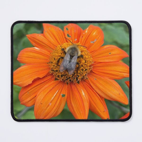 Item preview, Sleeping Bee designed and sold by Donna Tischner.