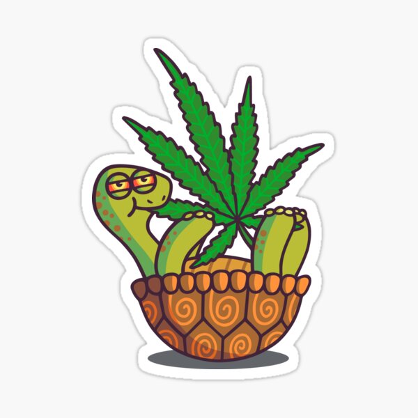 Stoned Turtle Pegatina