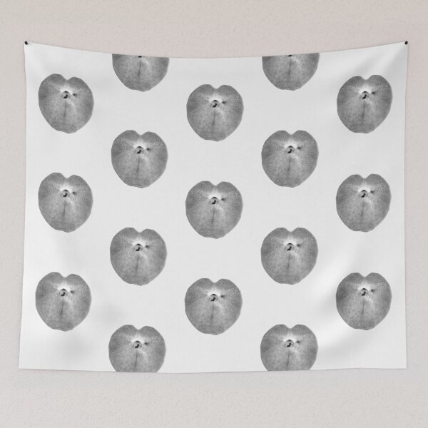 Item preview, BLACK&WHITE SEA-URCHIN B designed and sold by joancaronil.