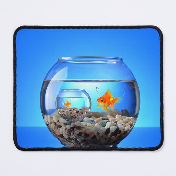 Item preview, GOLDFISH CONUNDRUM designed and sold by THE AMERICAN TEEVANGELIST.