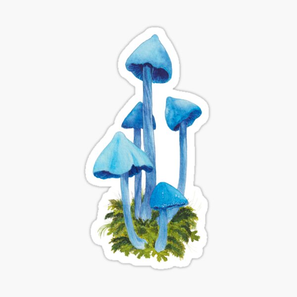 Magic mushroom original watercolor art Sticker