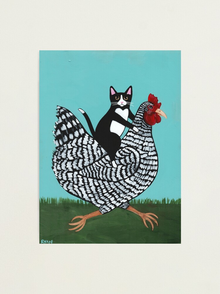 Thumbnail 1 of 3, Photographic Print, Tuxedo Cat Chicken Ride designed and sold by kilkennycat.