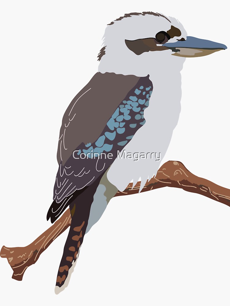 "Kookaburra" Sticker for Sale by RosellaCards Redbubble
