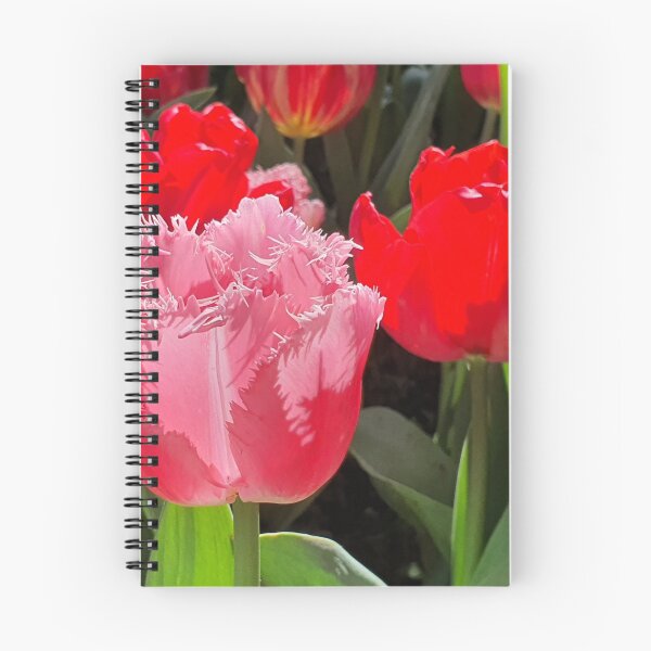 Item preview, TULIPS IN FULL BLOOM designed and sold by malouabrio.